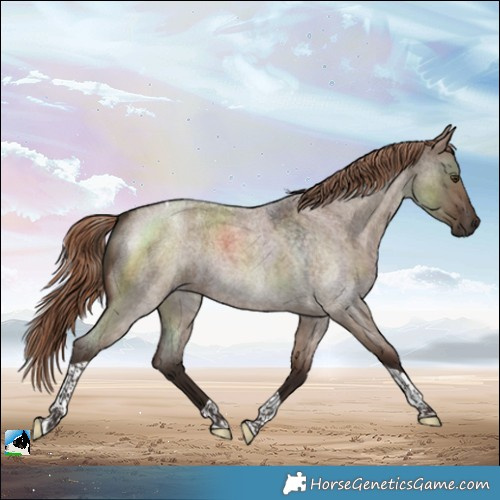 Horse Color:Liver Red Dun Roan Tobiano 