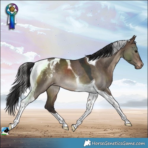 Horse Color:Brown Dun Tobiano Blanket 