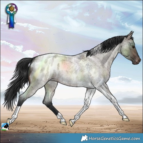 Horse Color:Brown Roan Dun Tobiano Blanket 