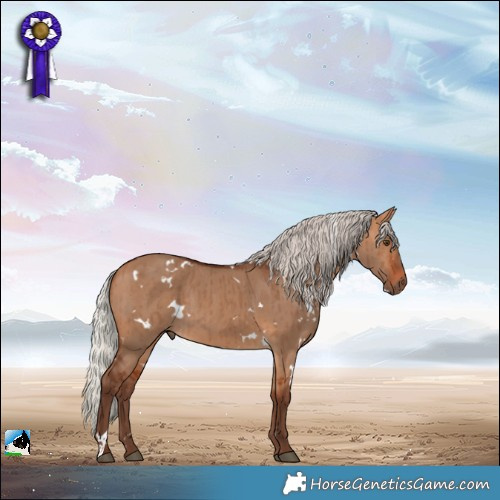Horse Color:White Spotted Silver Bay Dun Brindle 