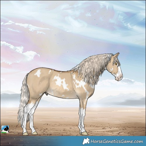 Horse Color:White Spotted Chocolate Palomino Dun Splash Rabicano 