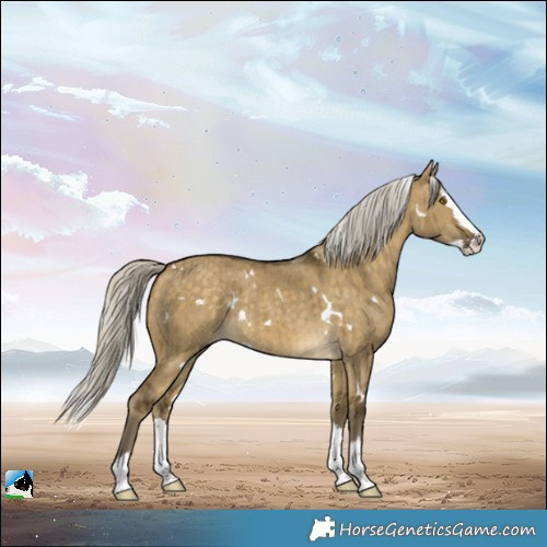 Horse Color:White Spotted Silver Buckskin Dun Splash Rabicano Brindle