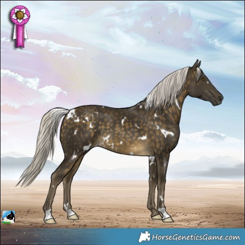 Horse Color:White Spotted Silver Buckskin Rabicano