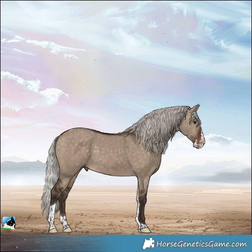 Horse Color:Silver Brown Dun Splash Tobiano Rabicano 