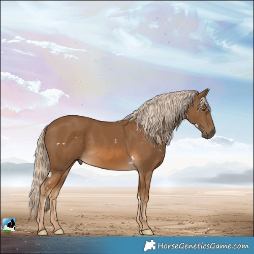 Horse Color:White Spotted Chocolate Palomino Rabicano 