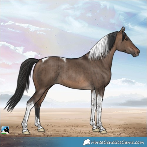 Horse Color:Brown Dun Tobiano Rabicano Brindle