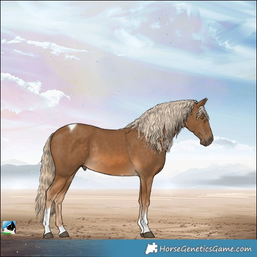 Horse Color:Chocolate Palomino Tobiano Rabicano 