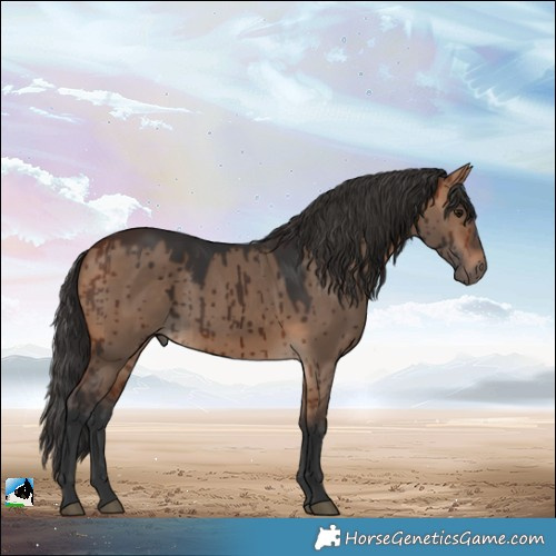 Horse Color:Bay Dun Brindle 