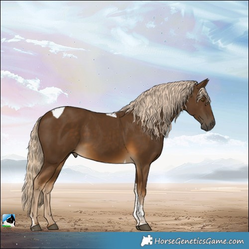 Horse Color:Chocolate Palomino Tobiano Rabicano 
