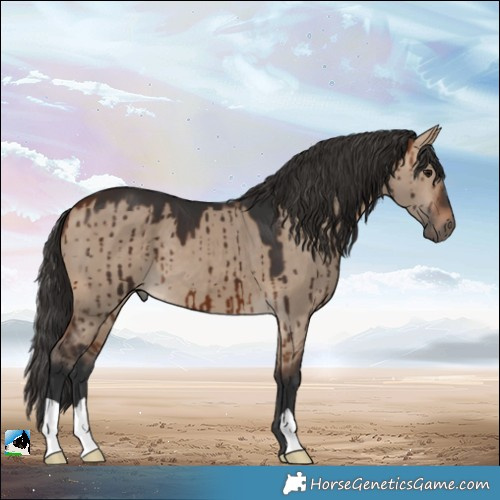Horse Color:Bay Dun Brindle 