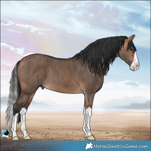 Horse Color:Bay Dun Splash Brindle 