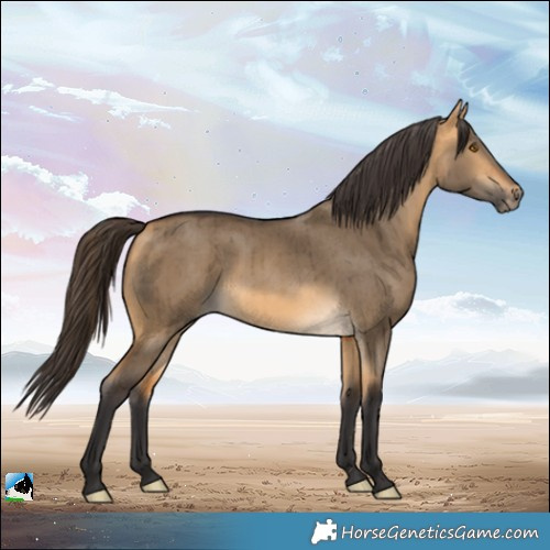 Horse Color:Buckskin Dun Brindle