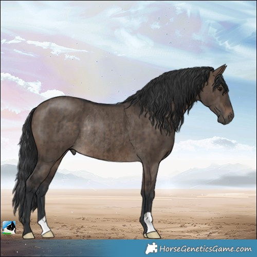 Horse Color:Brown Dun Rabicano Brindle 