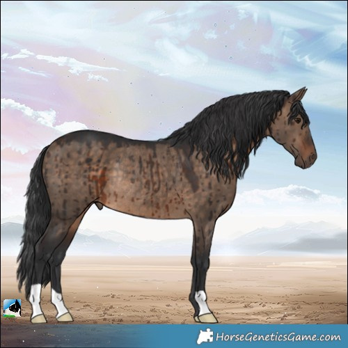 Horse Color:Brown Dun Rabicano Brindle 