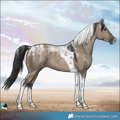 Horse Color:Powder White Brown Dun Tobiano