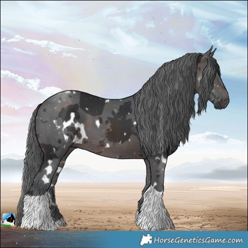 Horse Color:White Spotted Brown Merle Tobiano