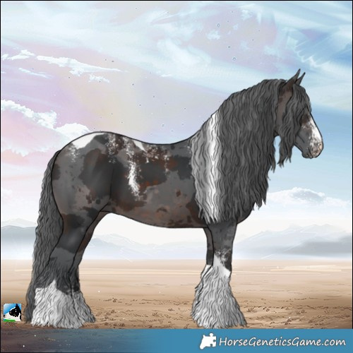 Horse Color:Powder White Brown Merle Tobiano 