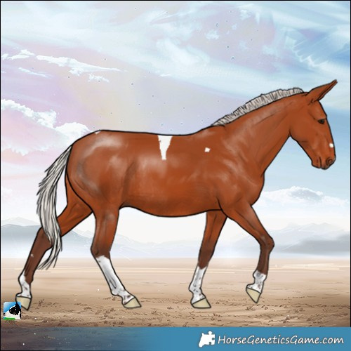Horse Color:Silver Bay Tobiano Rabicano