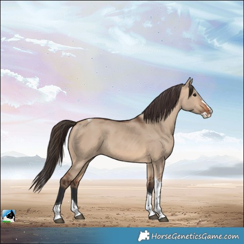 Horse Color:Bay Dun Splash Tobiano Varnish
