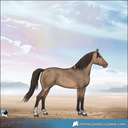 Horse Color:Bay Dun Tobiano Varnish 
