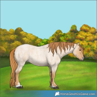 Horse Color:Red Dun Roan 