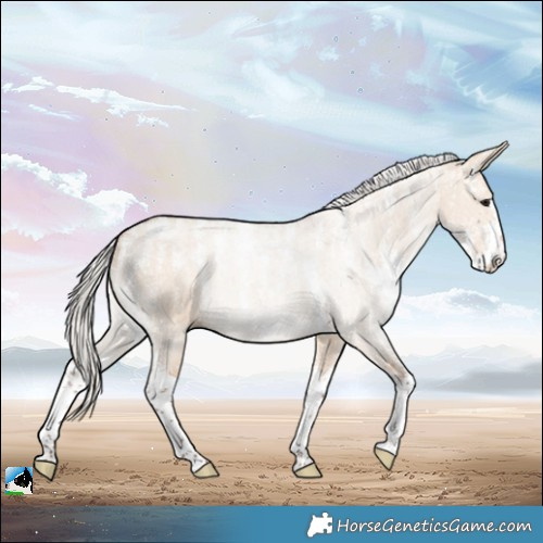 Horse Color:Powder White Silver Bay Dun Sabino 