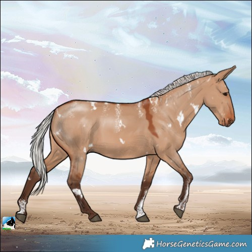 Horse Color:Powder White White Spotted Silver Brown Dun