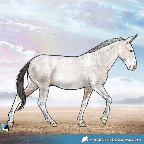 Horse Color:Powder White Bay Dun Sabino 
