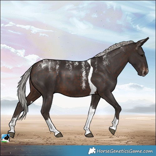 Horse Color:Powder White Silver Brown Tobiano 