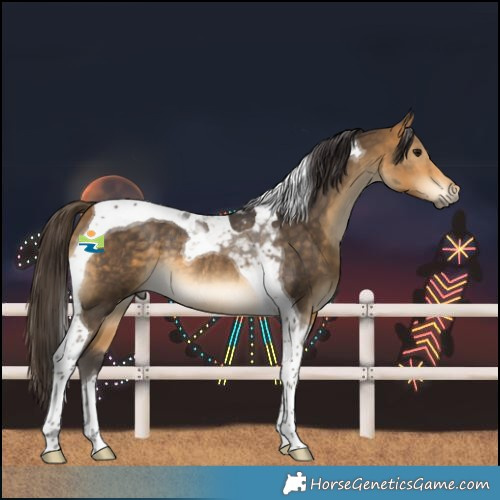 Horse Color:Buckskin Tobiano Rabicano 