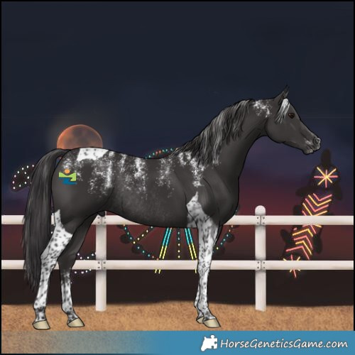 Horse Color:Powder White Smoky Black Tobiano Rabicano 