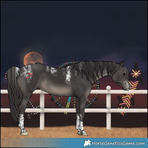 Horse Color:Powder White Smoky Black Tobiano 