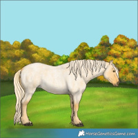 Horse Color:Palomino Roan Dun 
