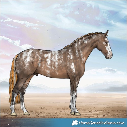 Horse Color:Powder White Painted Silver Brown Dun 