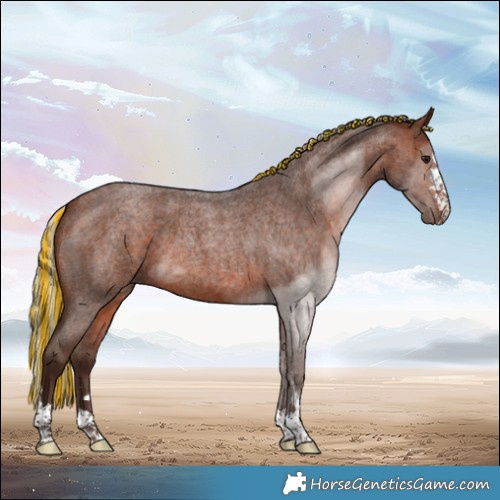 Horse Color:Painted Silver Brown Roan 