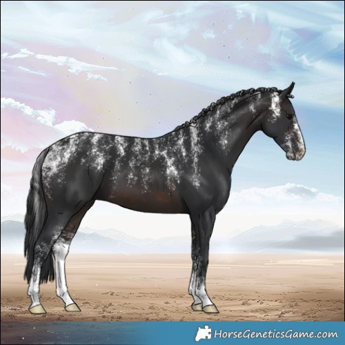 Horse Color:Powder White Brown 