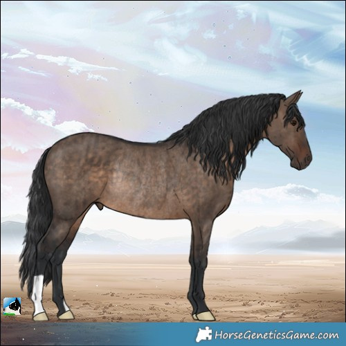 Horse Color:Brown Dun Rabicano Brindle 