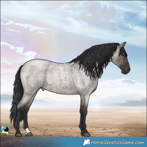 Horse Color:Brown Roan Dun Rabicano 
