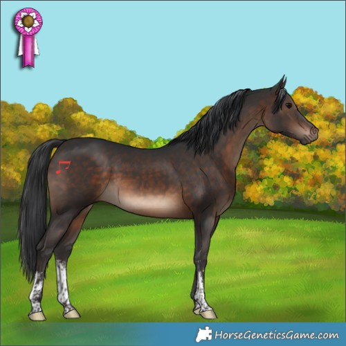 Horse Color:Brown Sabino