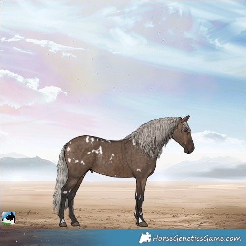 Horse Color:White Spotted Silver Brown Dun Rabicano Brindle 