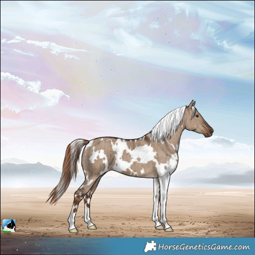 Horse Color:White Spotted Liver Red Dun Brindle 