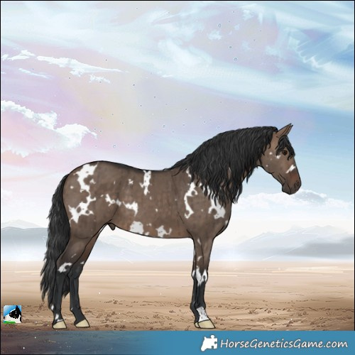 Horse Color:White Spotted Brown Dun Brindle 