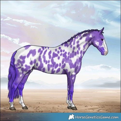 Horse Color:Watercolor Grullo Mushroom Sabino Appaloosa 