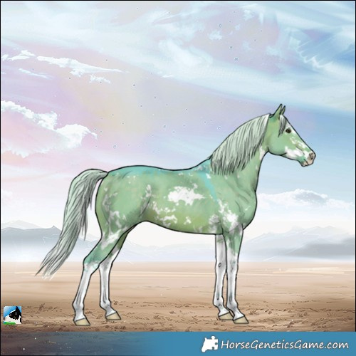 Horse Color:Watercolor White Spotted Silver Brown Dun Splash 