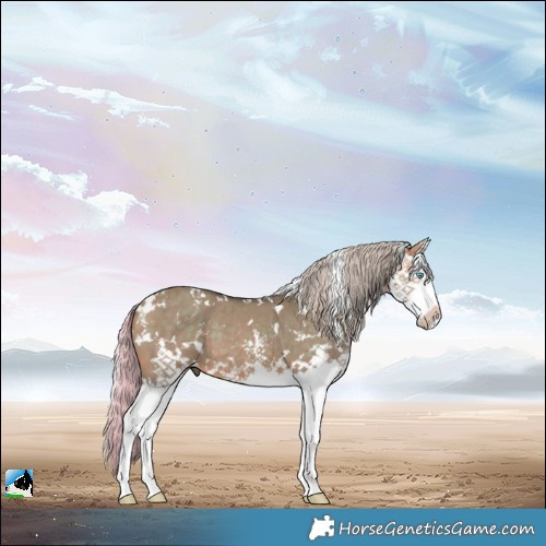Horse Color:Watercolor White Spotted Silver Brown Dun Sabino Splash Brindle