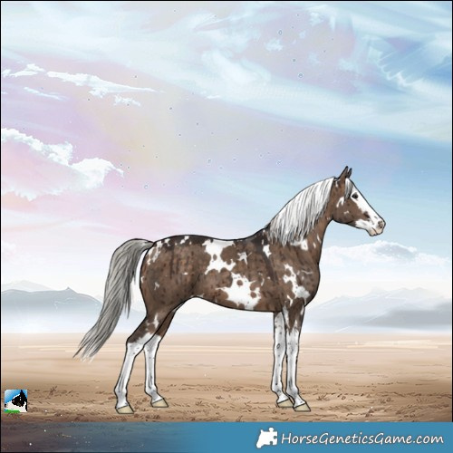 Horse Color:White Spotted Silver Brown Dun Splash Brindle