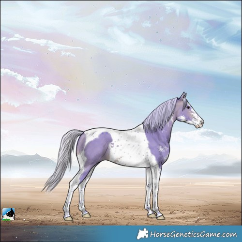 Horse Color:Watercolor Silver Brown Dun Sabino Tobiano 