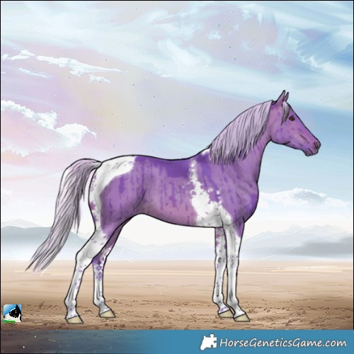Horse Color:Watercolor Silver Brown Dun Tobiano Brindle 