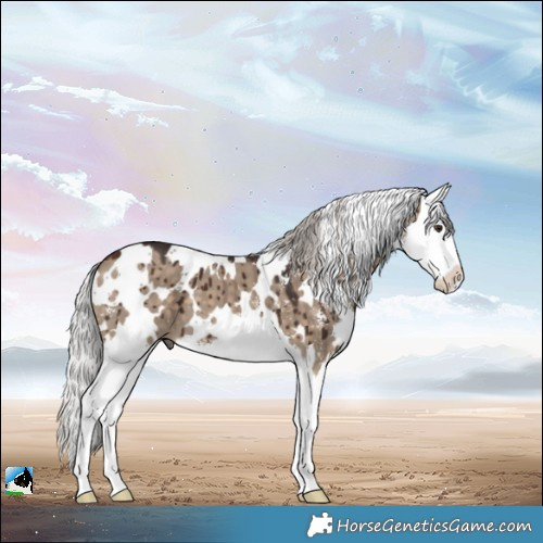 Horse Color:White Spotted Silver Brown Dun Sabino Splash Brindle