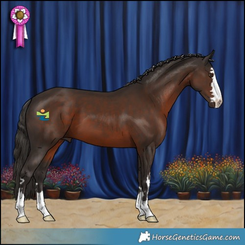 Horse Color:Liver Chestnut 
